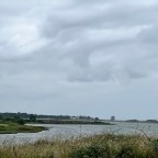 The Broad Majestic Shannon