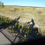 Over Sigüenza naar Medinaceli