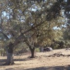 Olalla, Andalucia!